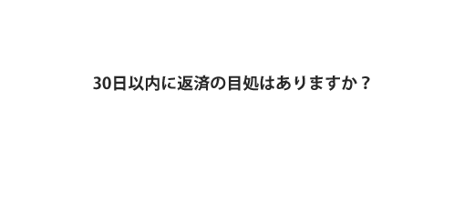 30日以内に返済の目処はありますか？